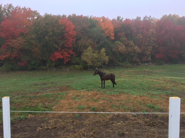 49848997750__82B00FF2-7016-4A19-AAE5-663468D91F32